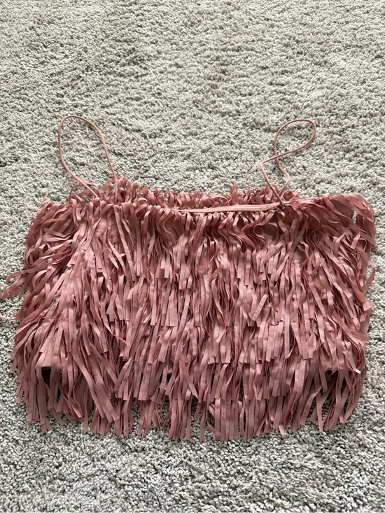 Zara Tops - NWOT Zara Rose Fringe Spaghetti-Strap Crop Top